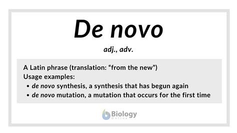 nuevo meaning in english|nueva definition.